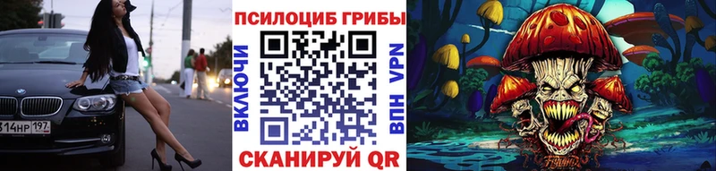 где найти наркотики  Артём  Галлюциногенные грибы мицелий 
