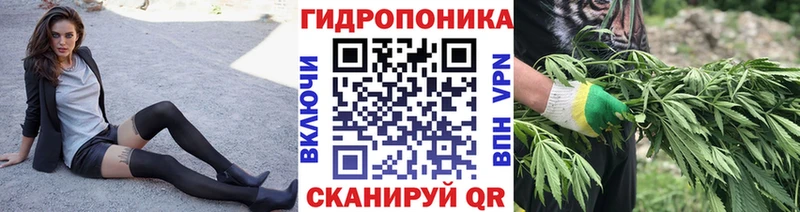 нарко площадка какой сайт  купить наркоту  Артём  Каннабис OG Kush 